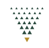 Vernon Research Group