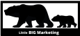 Little Big Marketing