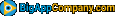 BigApp Company