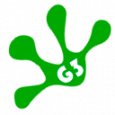 Visualg3