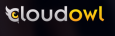 Cloudowl 