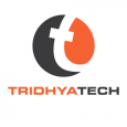 Tridhya Tech Private Limited