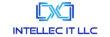 Intellec IT LLC