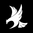Dynamic Hawks