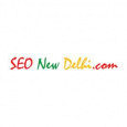 SEO New Delhi