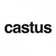 Castus