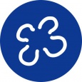 Aurita