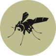 BlackFly