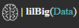 Lil Big Data