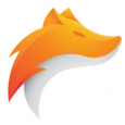 CyberFox LLC