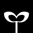The Growth Office