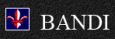 BANDI INFORMATICS PVT. LTD.