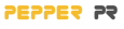 Pepper Interactive Communication