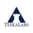 TeskaLabs