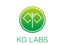 KG Labs Public Foundation