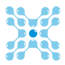 Xamarui
