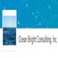 Ocean Bright Consulting