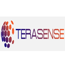 TeraSense, Inc.