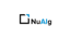 NuAIg AI Consulting