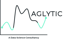 Maglytic- A data science consultancy