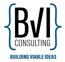 BVI Consulting