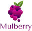 Mulberry Solutions