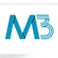 M3 Consulting Services, LLC