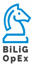 BiLiG_OpEx & CyberWorkForce RPA  Consultants