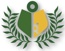 TEAM VI, LLC