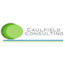 CAULFIELD CONSULTING INC