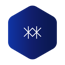 Blue Hex Software Pvt Ltd