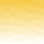 Apom Solutions