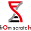From Scratch Co.