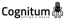 Cognitum Services SA