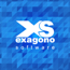EXAGONO SOFTWARE