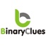 Binary Clues - Agency CRM Software Provider