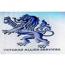 Veteran Allied Services Lllp