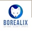 Borealix