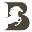 Bulmen Consultant Group, Inc.