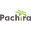 Pachira Information Technology