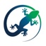 Lizztech Consulting