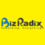 BizRadix