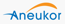 ANEUKOR LLC
