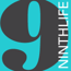 Ninth Life Consulting Group LLC