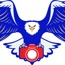 Eagle Eye Photos