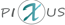 Pixus Technology & Software Firm