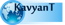 Kavyant Technologies