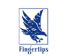 Fingertips Solutions