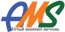 Ams Va Services
