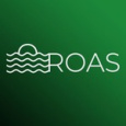 ROAS.pro